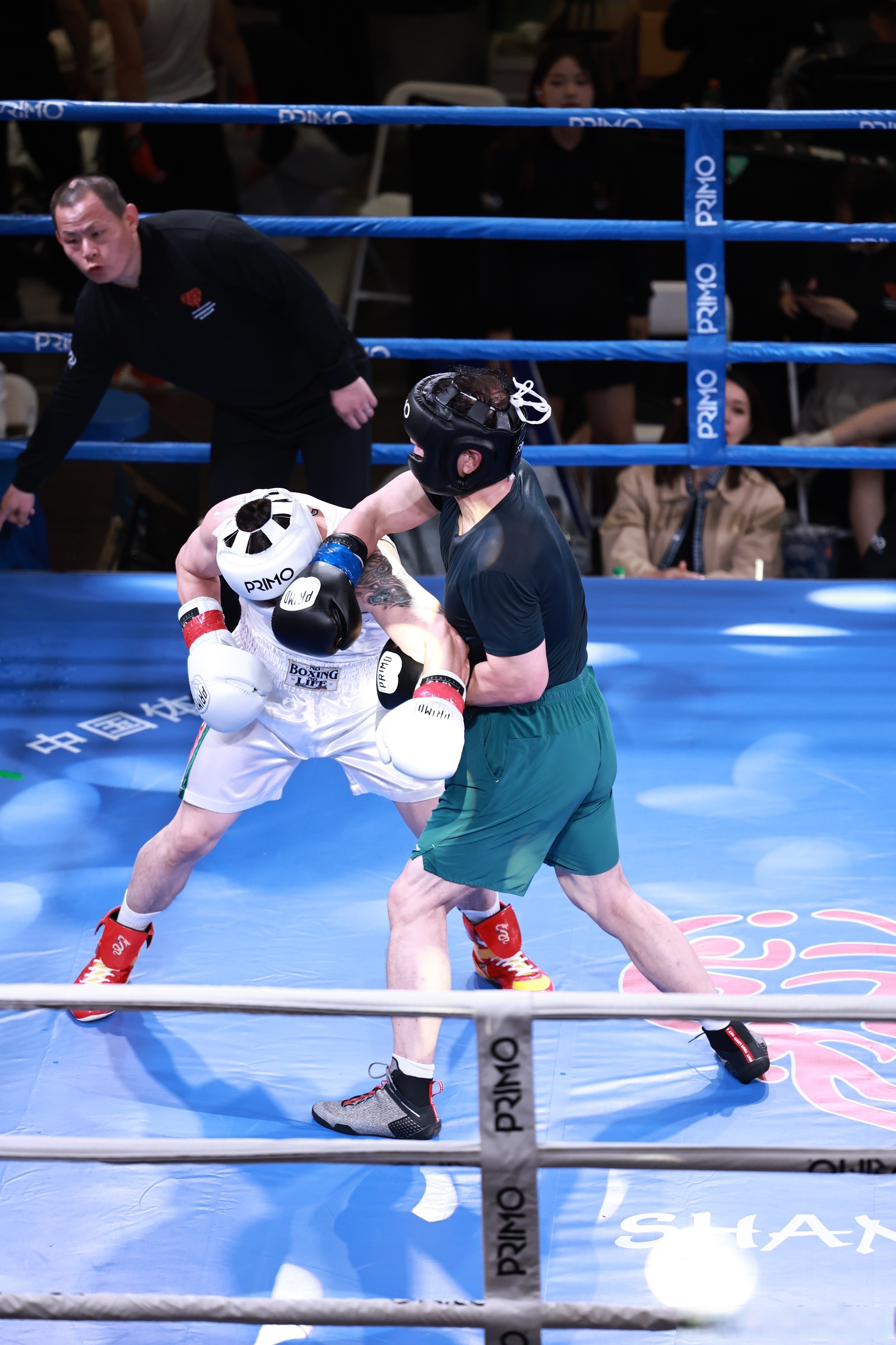 开云在线赛事平台-滚动式比赛展开，拼尽全力争胜的简单介绍