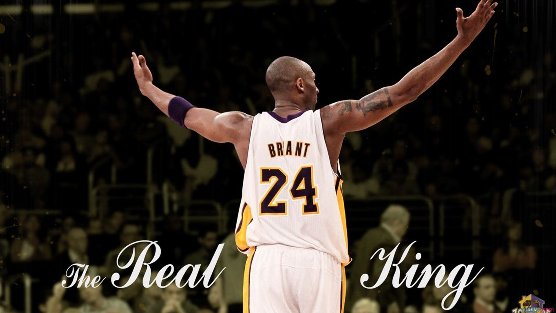 文班亚马攻防两端统治,黄蜂力克开拓者